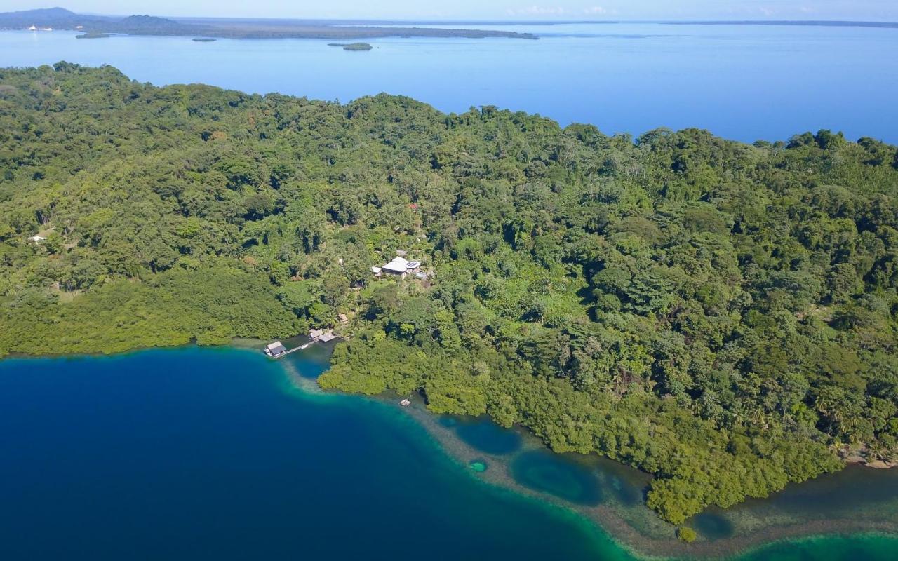 Finca Vela Lodge Bocas del Toro Zewnętrze zdjęcie