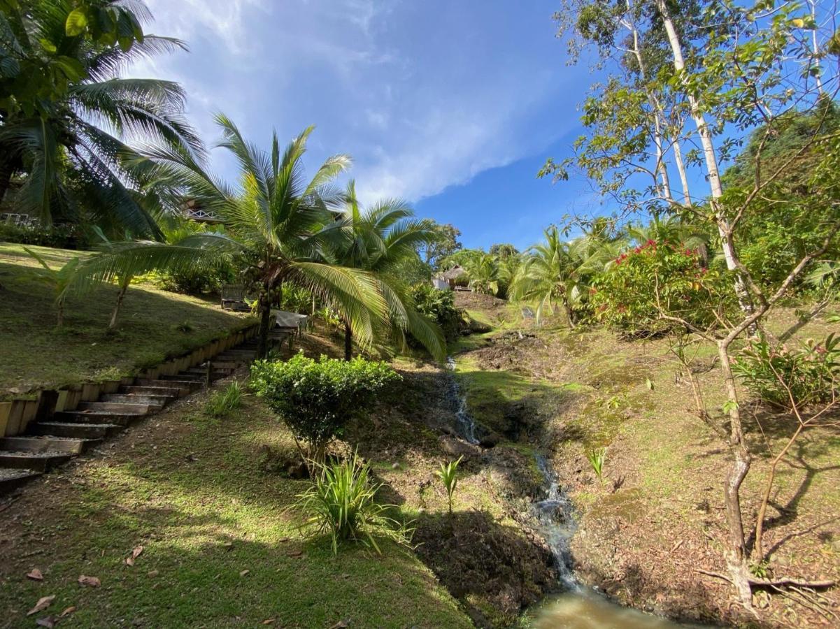 Finca Vela Lodge Bocas del Toro Zewnętrze zdjęcie