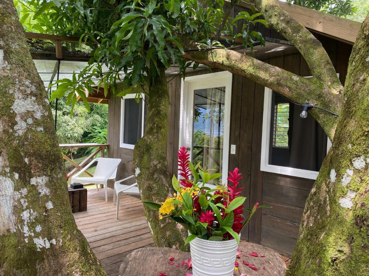 Finca Vela Lodge Bocas del Toro Zewnętrze zdjęcie