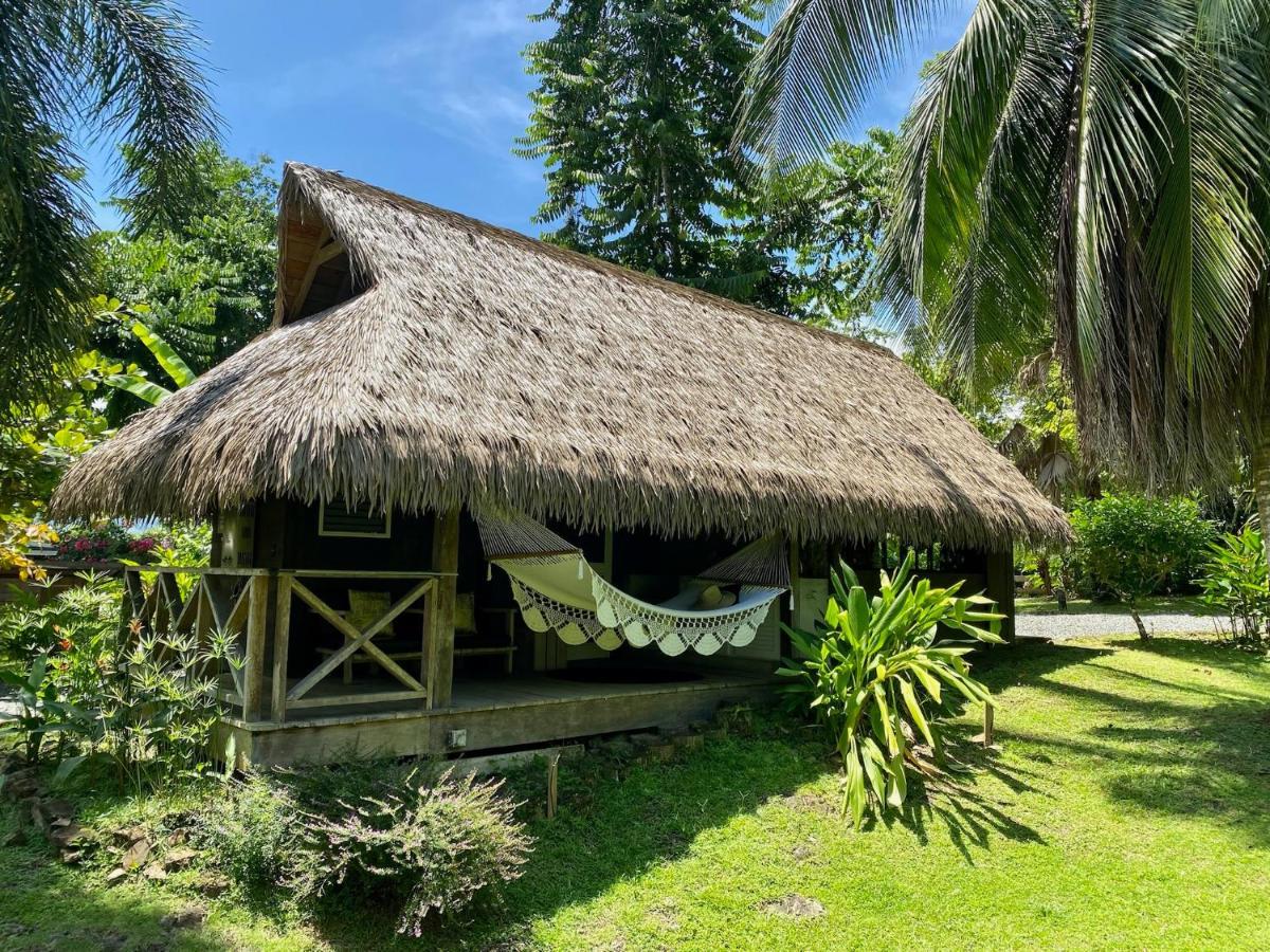 Finca Vela Lodge Bocas del Toro Zewnętrze zdjęcie