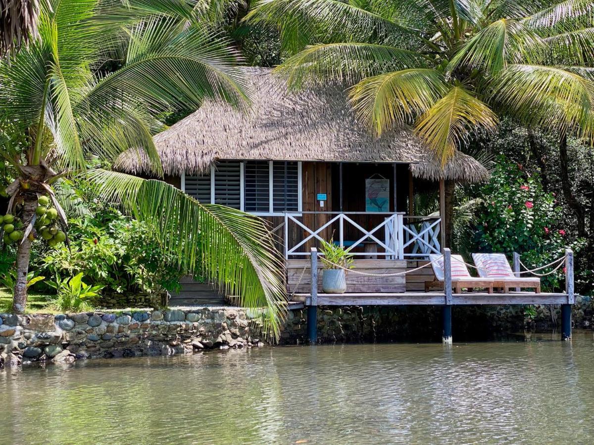Finca Vela Lodge Bocas del Toro Zewnętrze zdjęcie