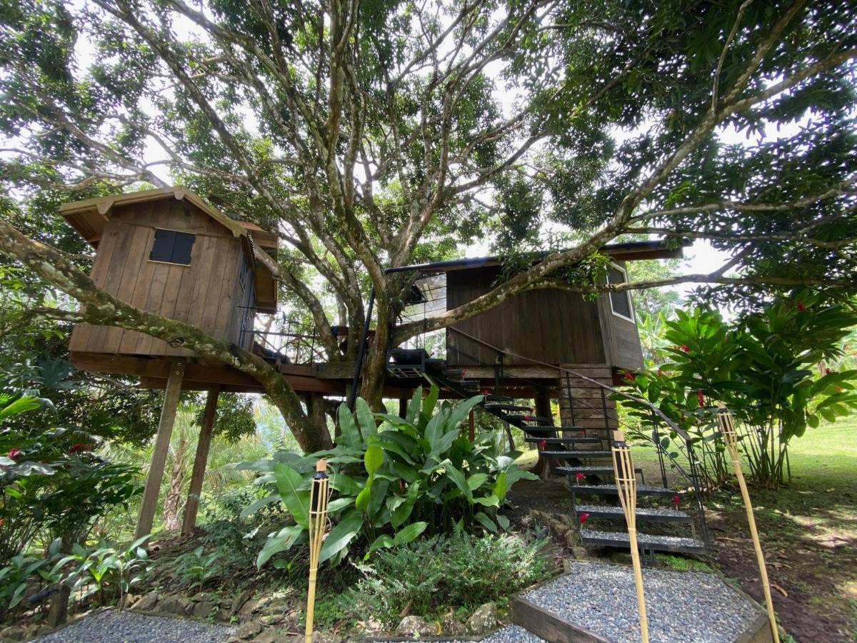 Finca Vela Lodge Bocas del Toro Zewnętrze zdjęcie