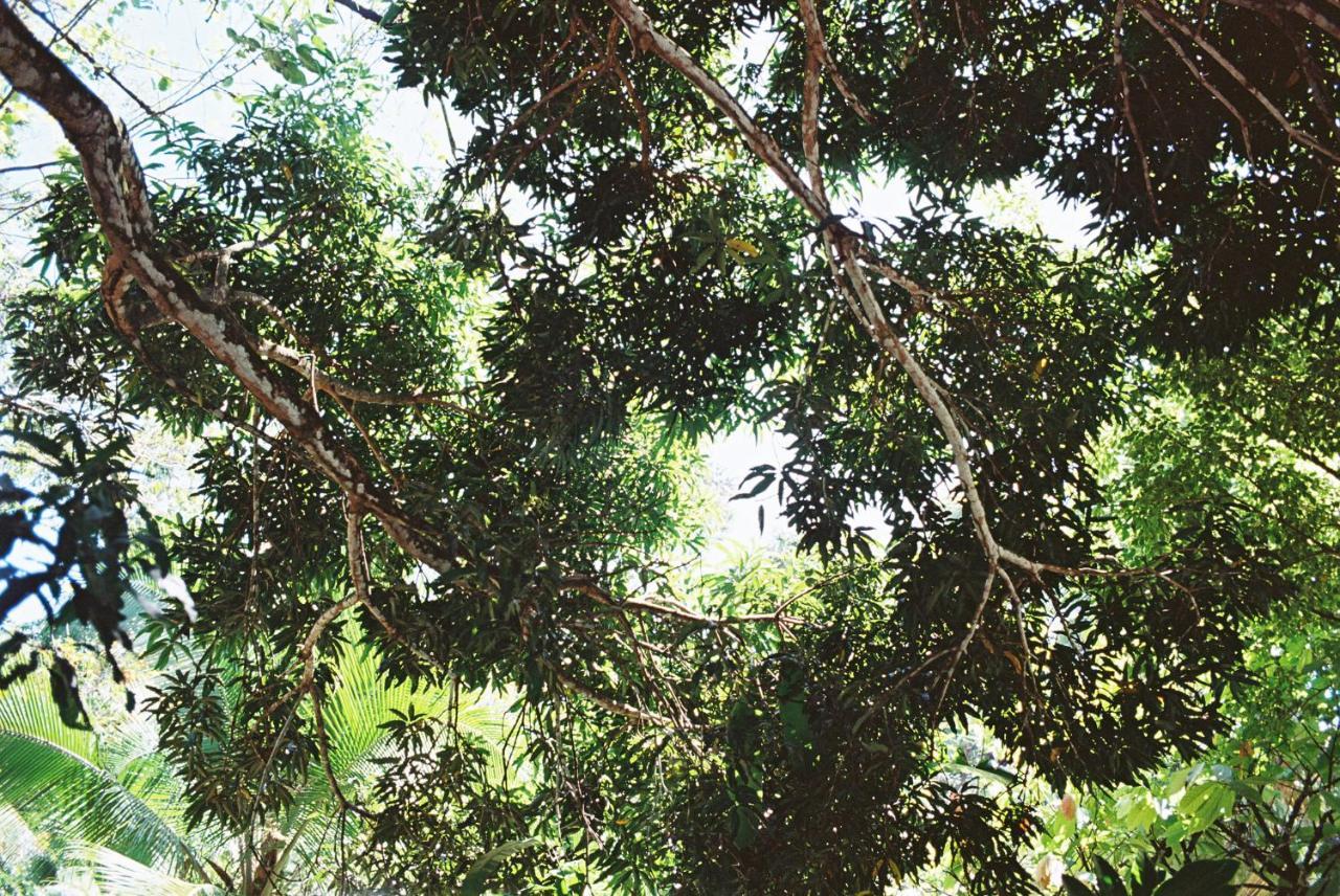 Finca Vela Lodge Bocas del Toro Zewnętrze zdjęcie