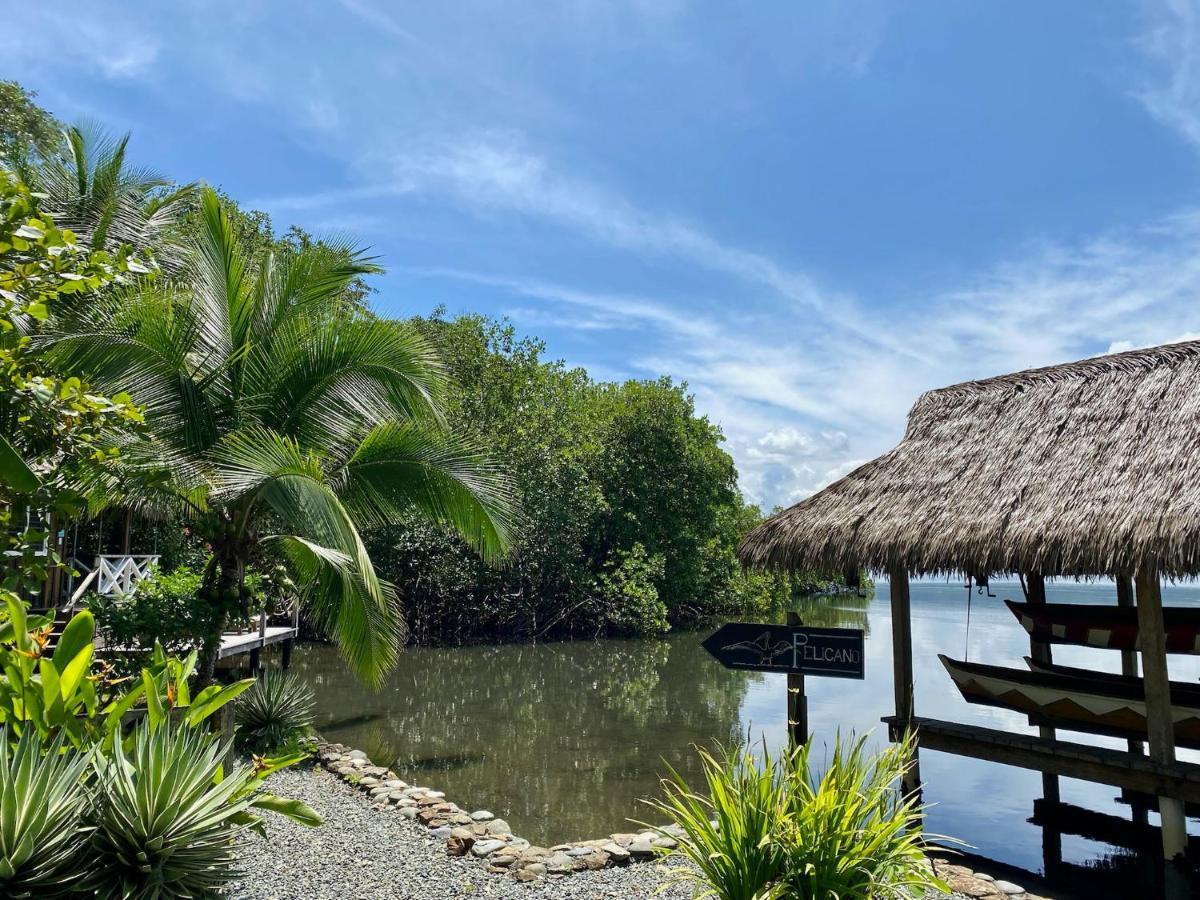 Finca Vela Lodge Bocas del Toro Zewnętrze zdjęcie