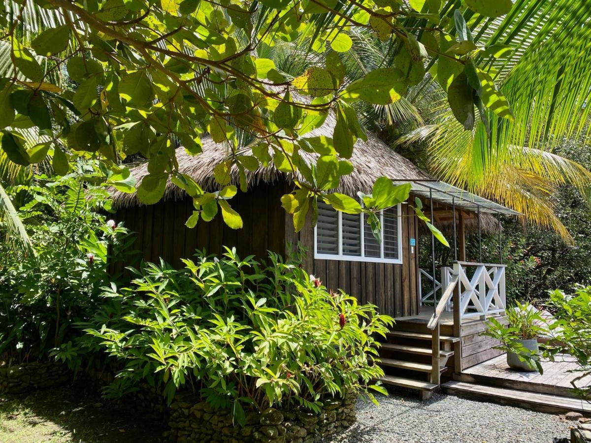 Finca Vela Lodge Bocas del Toro Zewnętrze zdjęcie