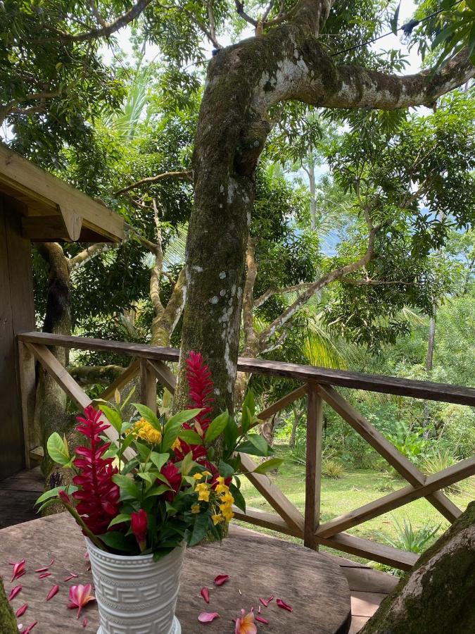 Finca Vela Lodge Bocas del Toro Zewnętrze zdjęcie