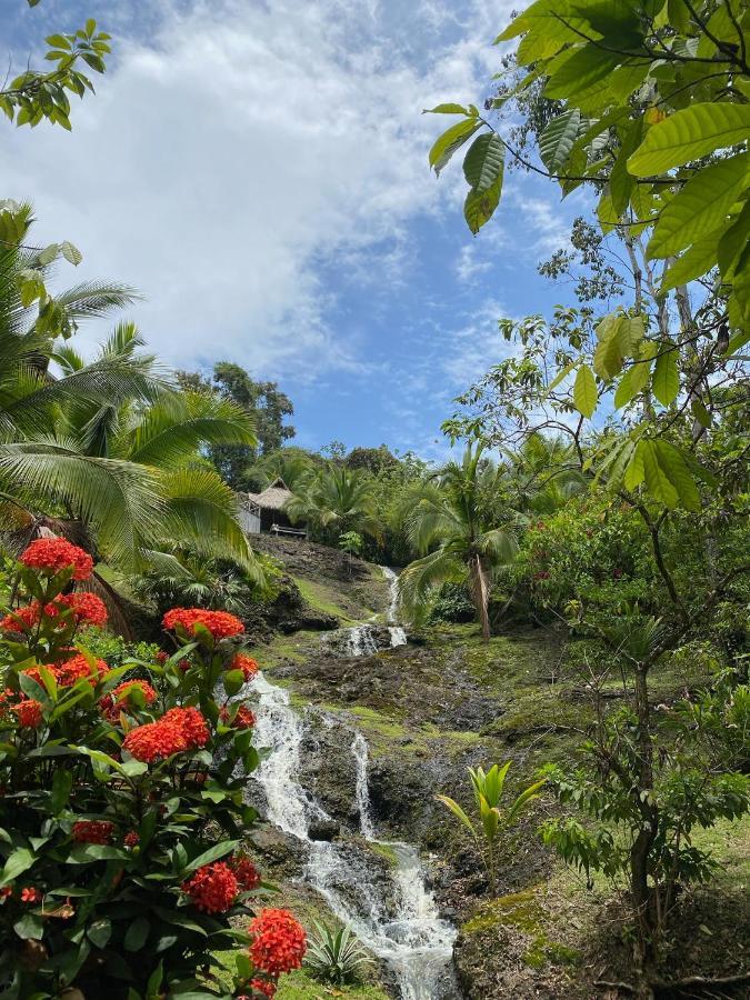 Finca Vela Lodge Bocas del Toro Zewnętrze zdjęcie