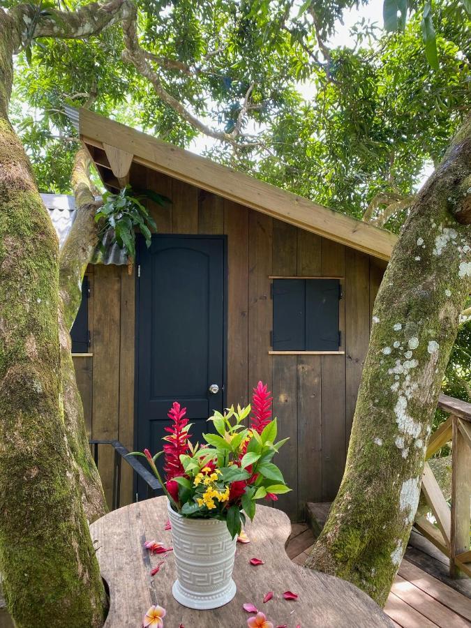 Finca Vela Lodge Bocas del Toro Zewnętrze zdjęcie