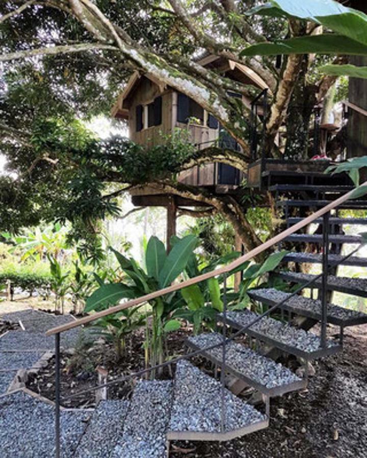Finca Vela Lodge Bocas del Toro Pokój zdjęcie
